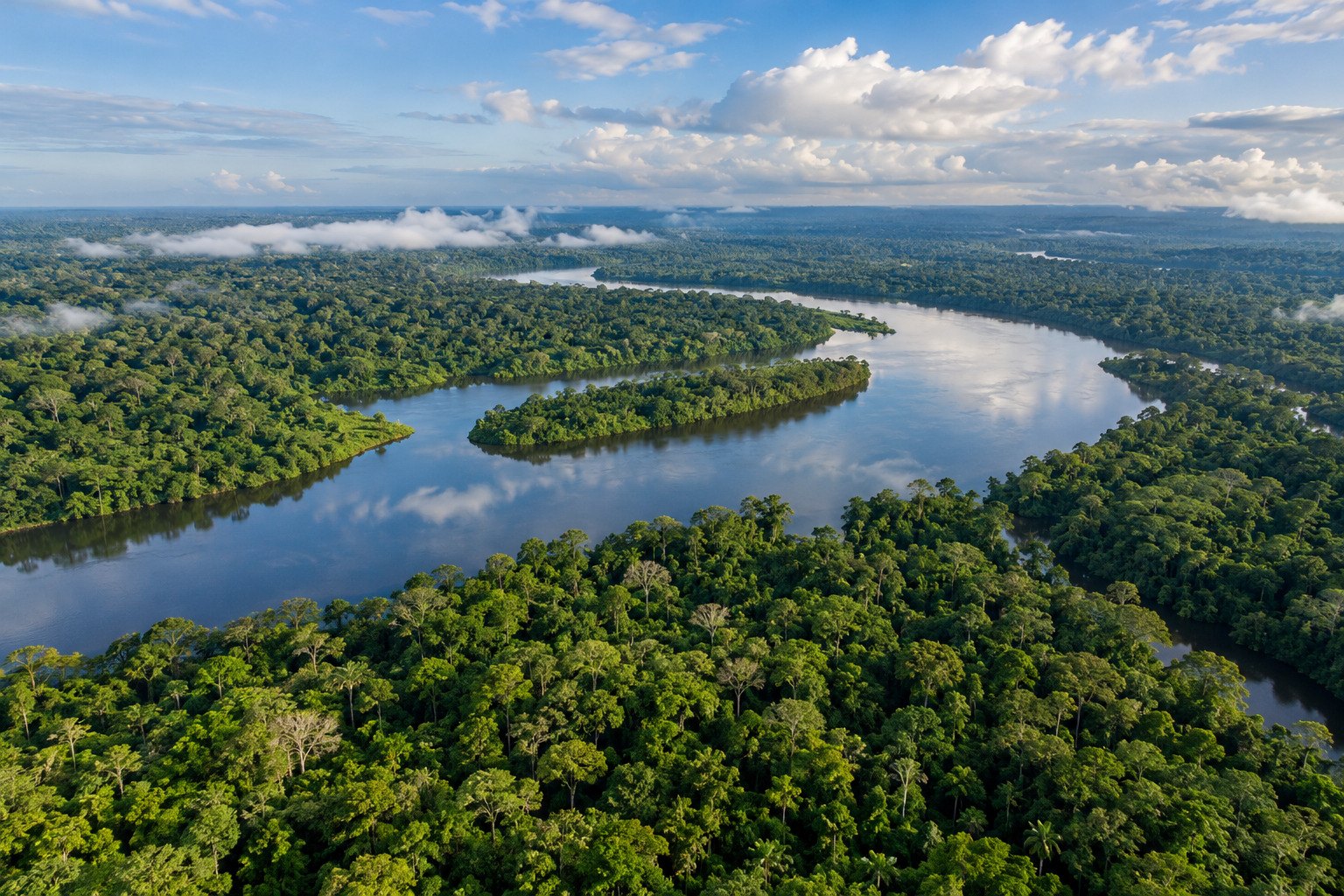 PRODES satellite survey puts Brazil's Amazon clearing at a series low