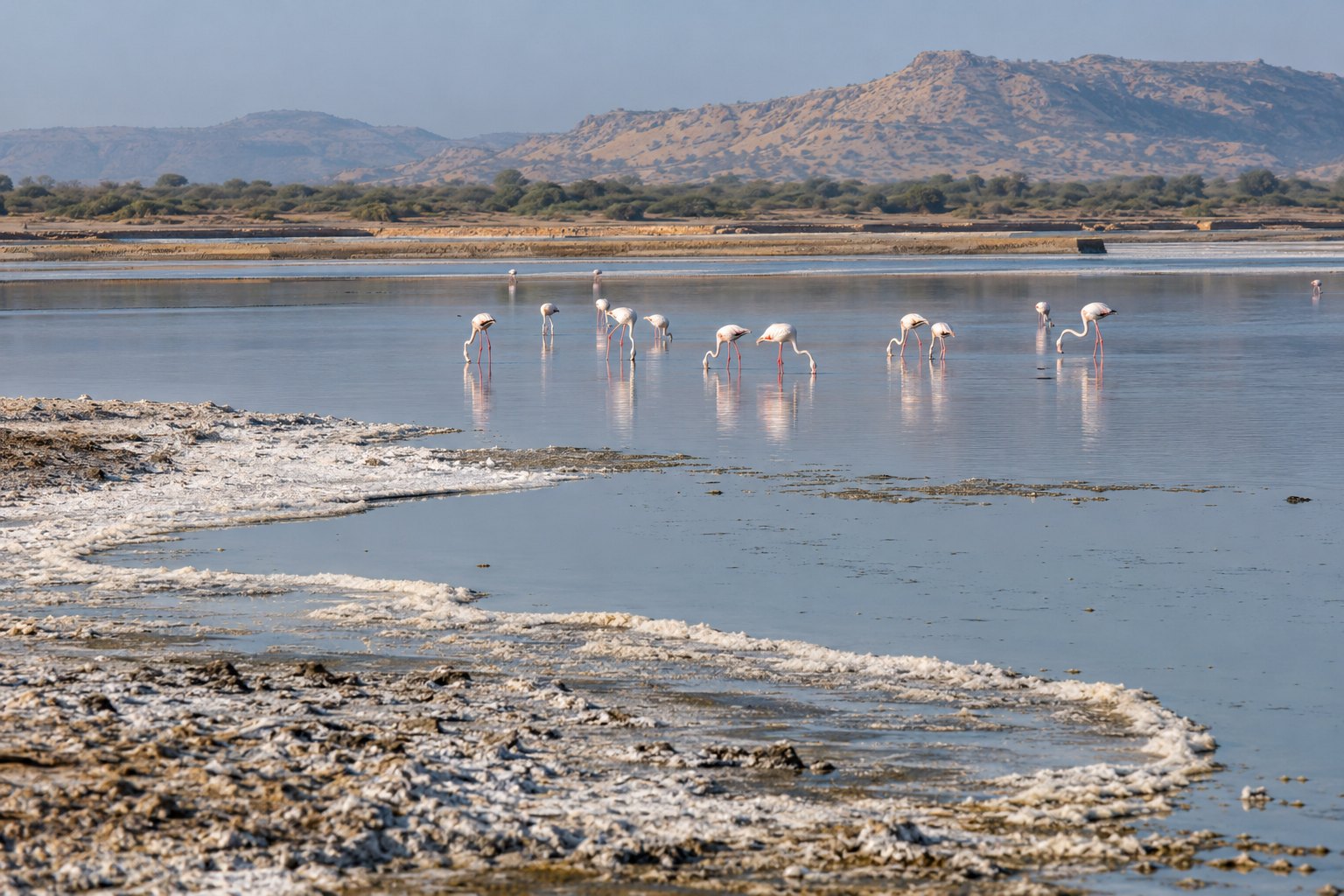 NGT orders joint panel to inspect encroachments at Sambhar Lake